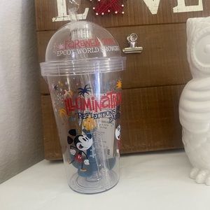 Disney 2019 Illuminations Reflection of Earth